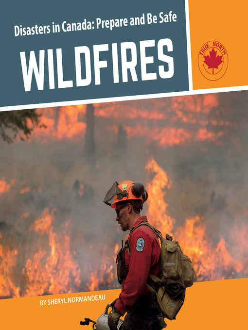 Title details for Wildfires by Sheryl Normandeau - Available